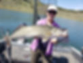 20190717_113902.jpg
