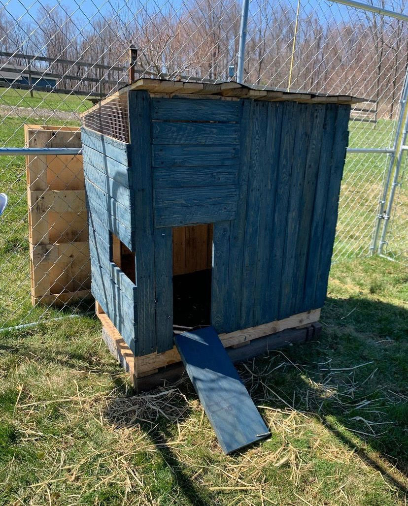 Our DIY Projects