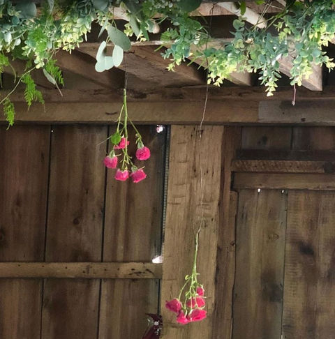 hanging roses.JPG