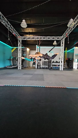 bungee fly.jpg