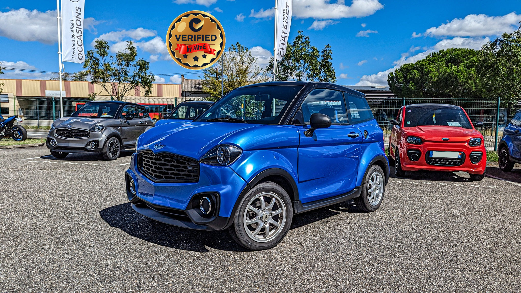 CHATENET CH46 JUNIOR Evo500