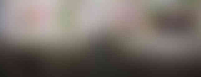 Little Japan by Artist Lucas / Luke Stoffel