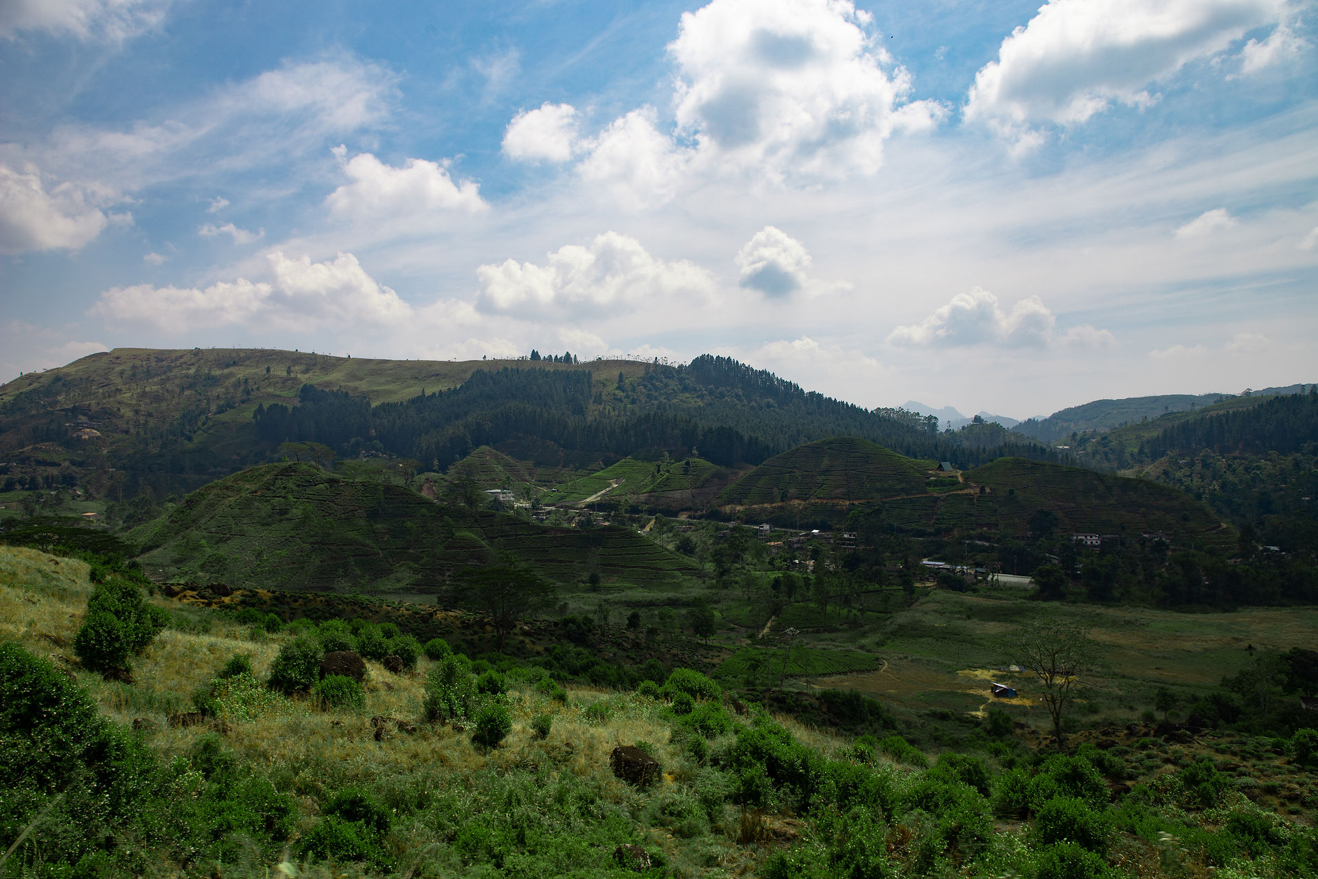 The Train to Kandy, Sri Lanka photo by Lucas / Luke Stoffel