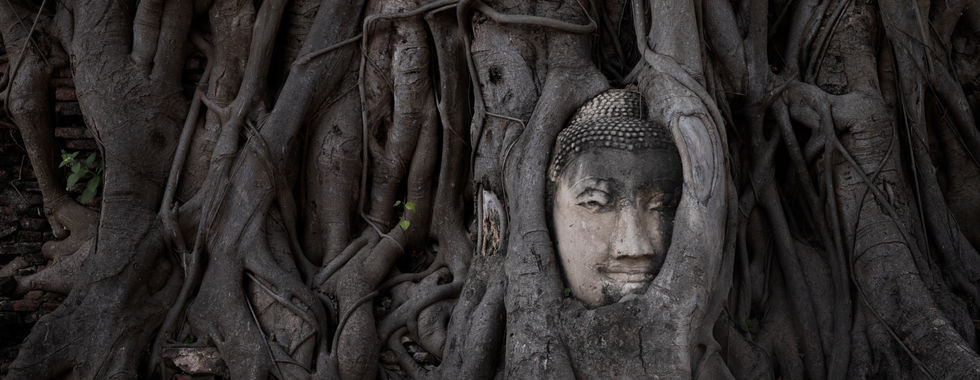 Ayutthaya Tree Buddha by Lucas / Luke Stoffel