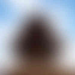 Royal Histories at Kathmandu Durbar Square