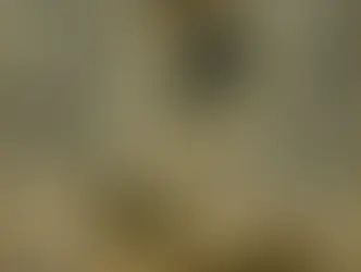 Connecting the End of the War in Afghanistan and the Situation on the Korean Peninsula