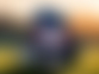 Guide to buying the best cricket batting gloves for female cricketers