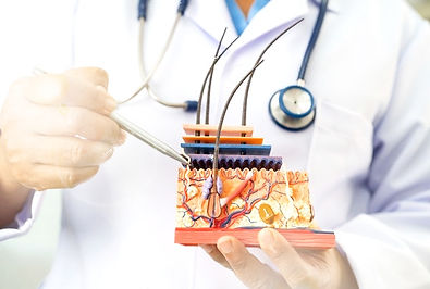 Dermatology 2025