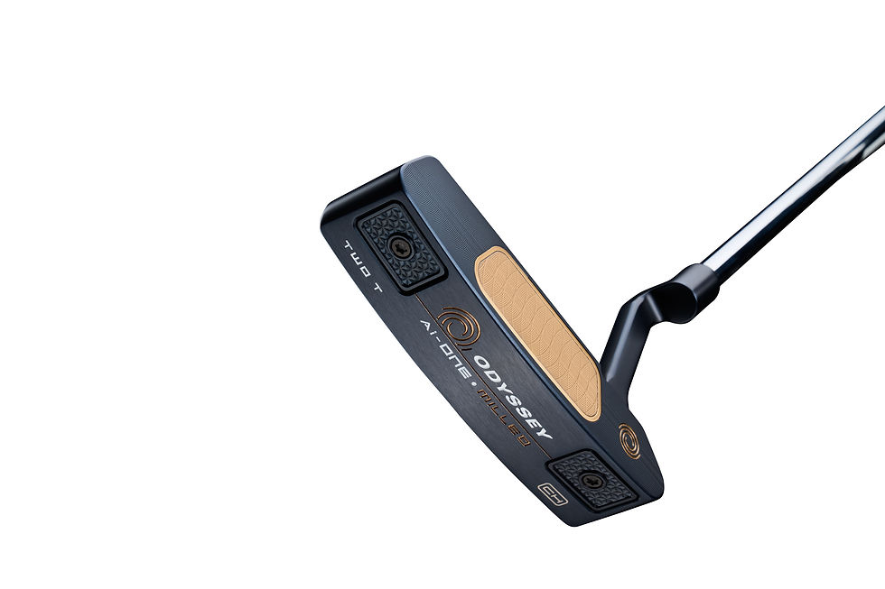 Miniatura: Ai One Milled Two