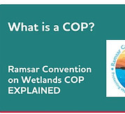 Ramsar cop explained.jpg