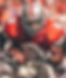 Ty.jpg