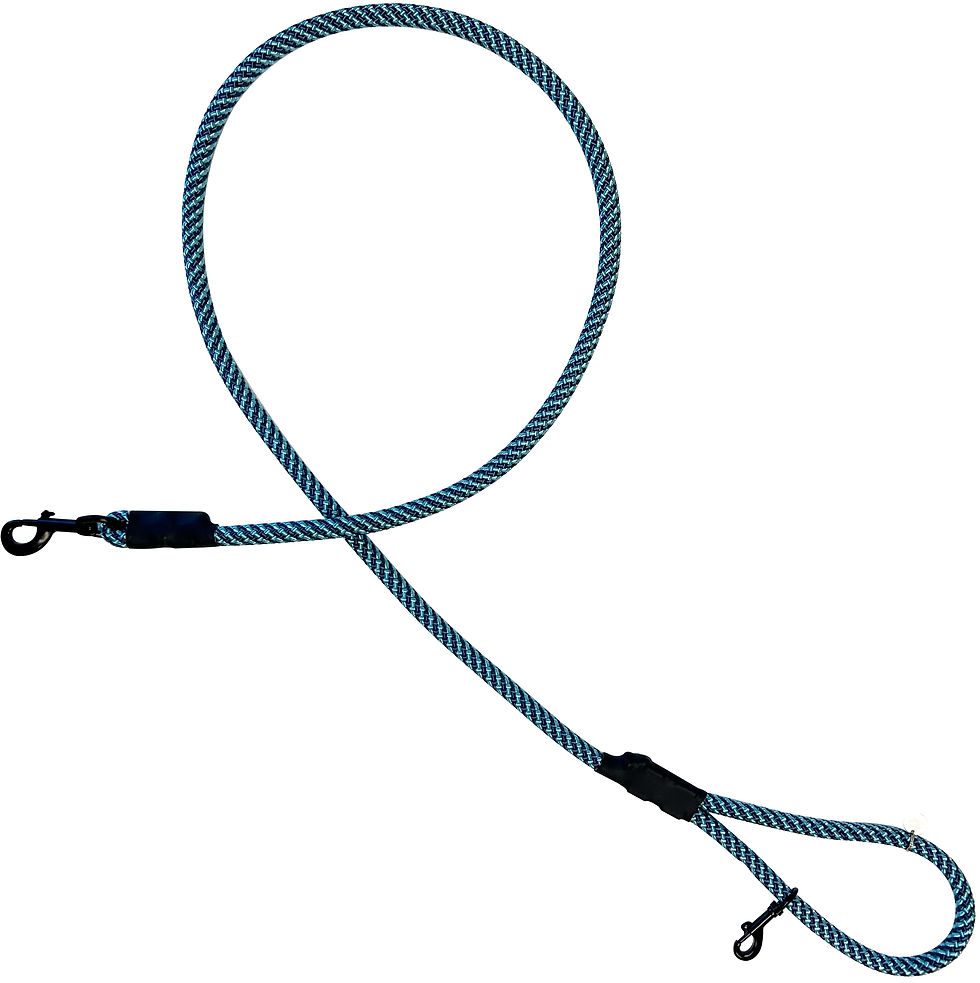 Thumbnail: L/XL Dog Leash