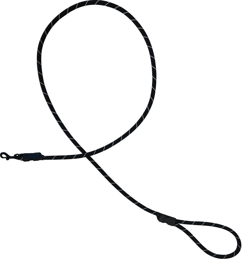 Thumbnail: Child Training Leash