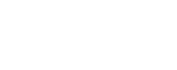 VBSM