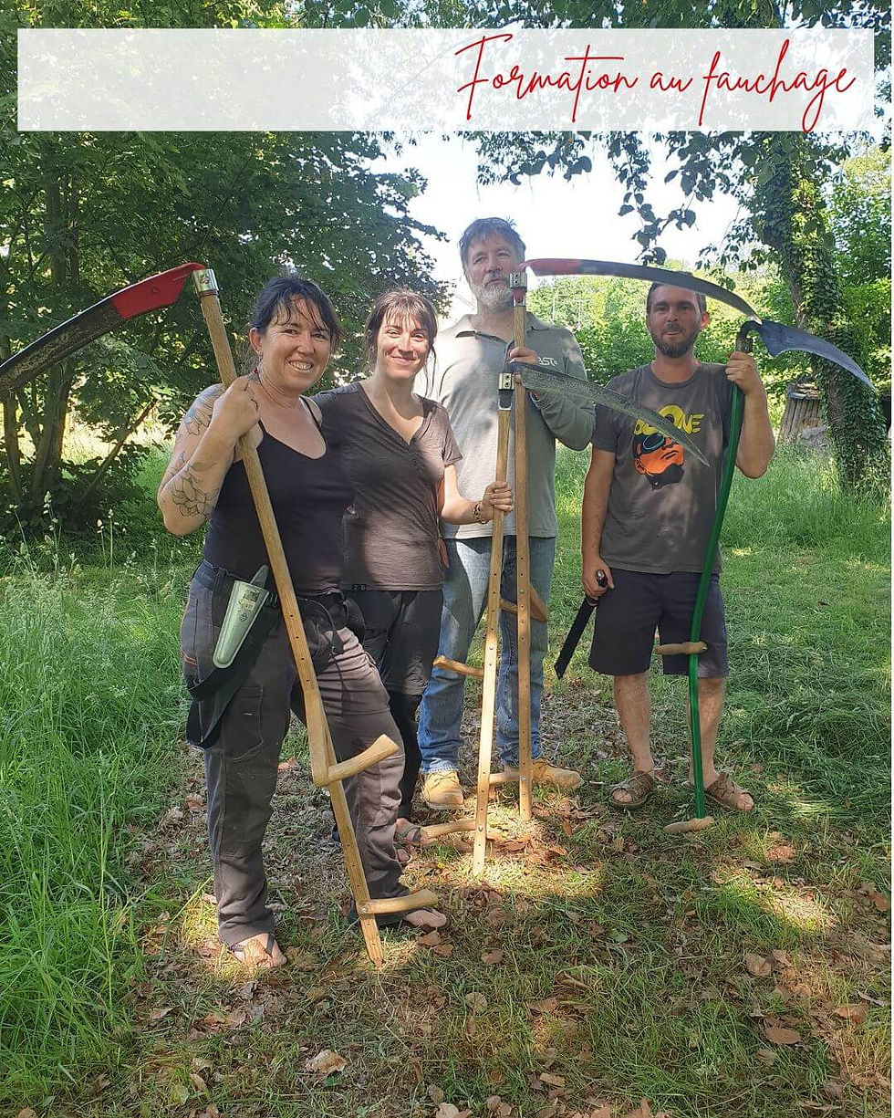 Journée de formation au fauchage, entre collègues de la coopérative L'Ouvre-Boîtes. De gauche à droite : Caroline de Rouge Pivoine Paysagiste, Eve de l'Atelier Lutin, Olivier de Obst et Emilien