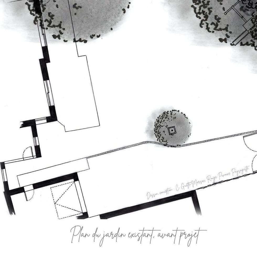 Plan du jardin avant réaménagement