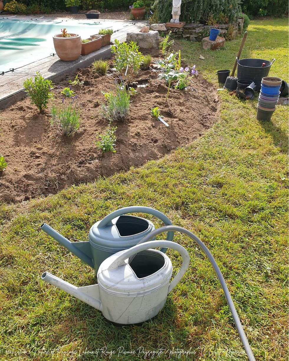 Plantation des végétaux, y compris tous les soins nécessaires (apport d'amendement organique, préparation des plantes, arrosage et finition avec paillage)
