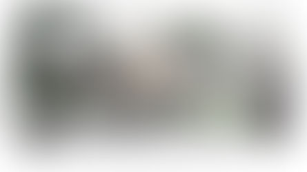 Nouveau projet : agrandissement de terrain dans la campagne nantaise