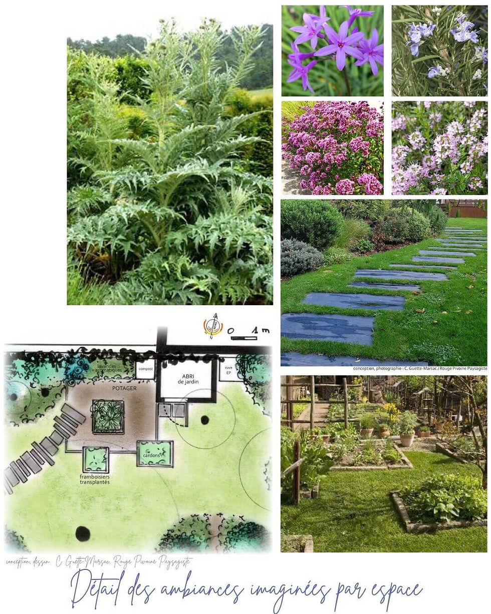 L'espace potager, de formes carrées, est créé en lien avec le compost, l'abri pour les outils de jardinage et une réserve d'eaux pluviales, assurant ainsi une cohérence d'usages. Des structures en bois dessinent les formes péreennes du potager, des propositions de plantes potagères vivaces sont illustrées.