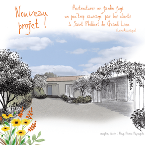 Nouveau projet : restructuration d'un jardin sauvage à Saint-Philbert-de-Grand-Lieu (44)
