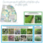 Sans rentrer dans le détail de plans de plantation précis, des conseils sont donnés sur les typologies de végétaux à planter en complément des plantes existantes.