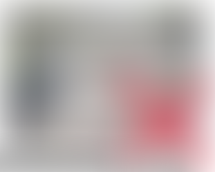 Les "jardins de pierres" interdits en Allemagne