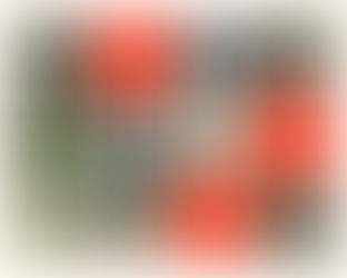 Les mille et une manières de valoriser un arbre abattu