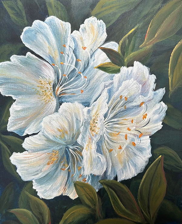 FullSizeRender 4_edited_edited.jpg