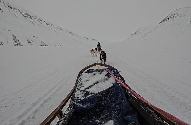 Svalbard_26-1.jpg