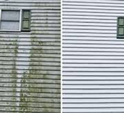images (3).jpeg