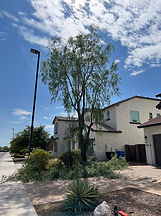 IMG_1378 2.jpeg
