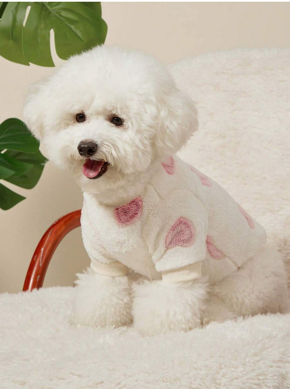 Thumbnail: Cozy Campus