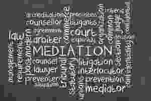 Probate Mediation.