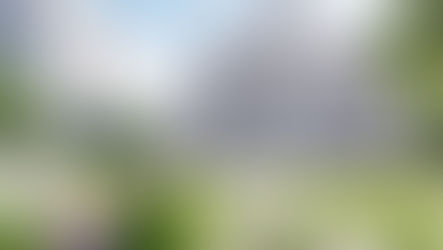 Are Wills Public Records in California?