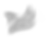 Unwanted Background