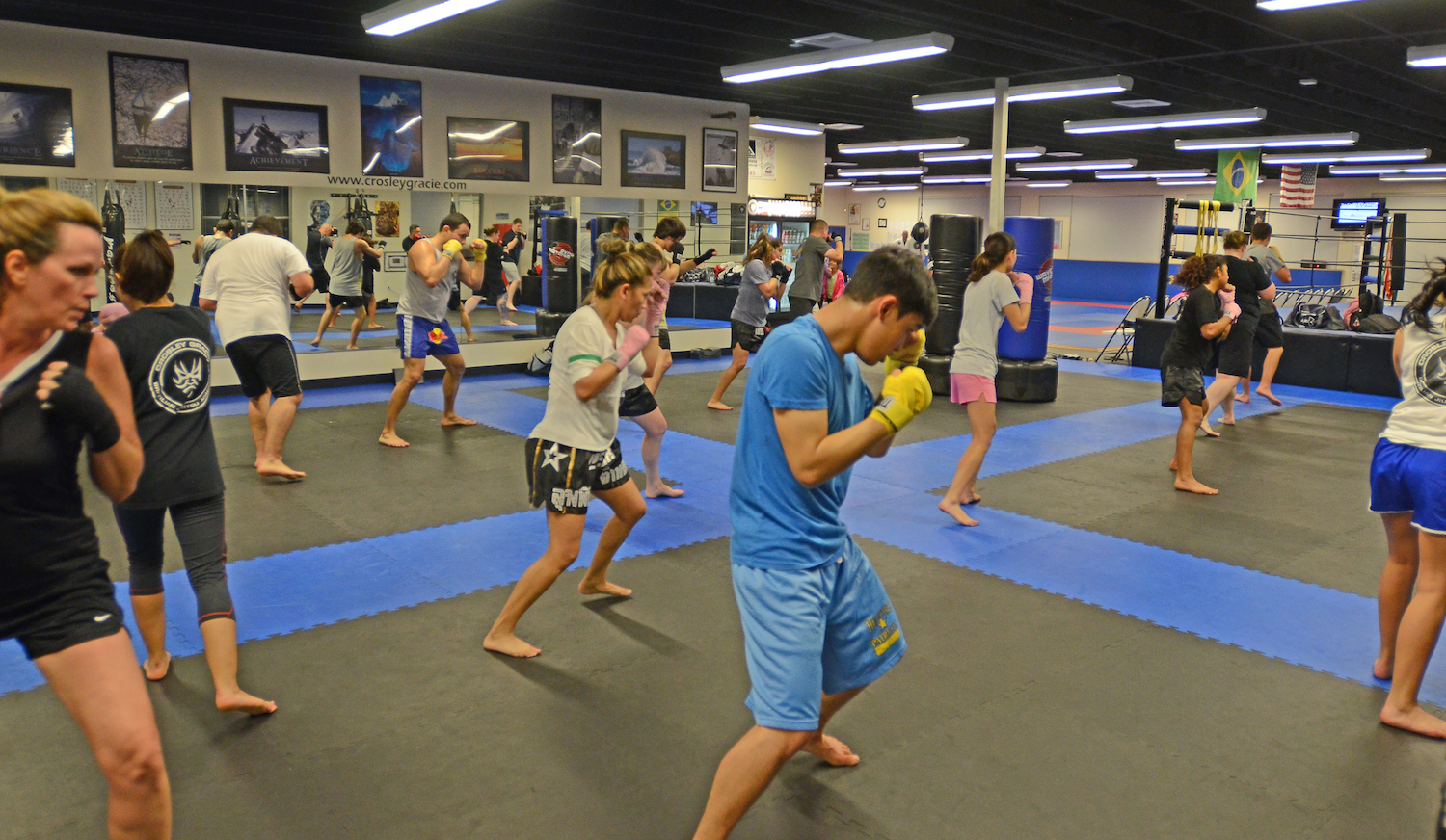 warriors martial arts online training sessions.webp