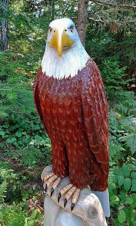 Bald Eagle