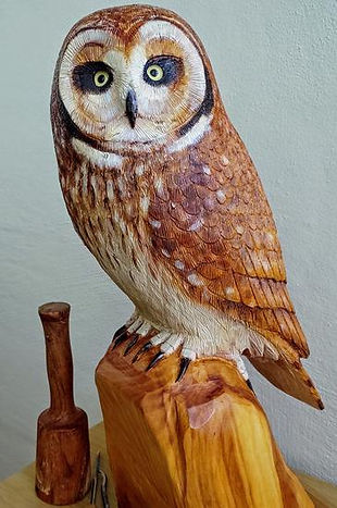 Short-Eared Owl