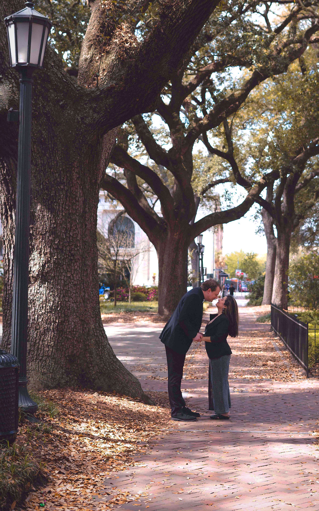 wedding photography and videography sample of a man proposing to a woman under the spanish moss and gorgeous oaks of historic downtown Savannah, Ga