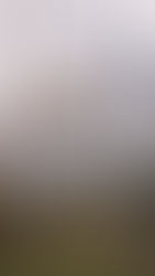 Why Are Good Wedding Videographers Worth the Investment?