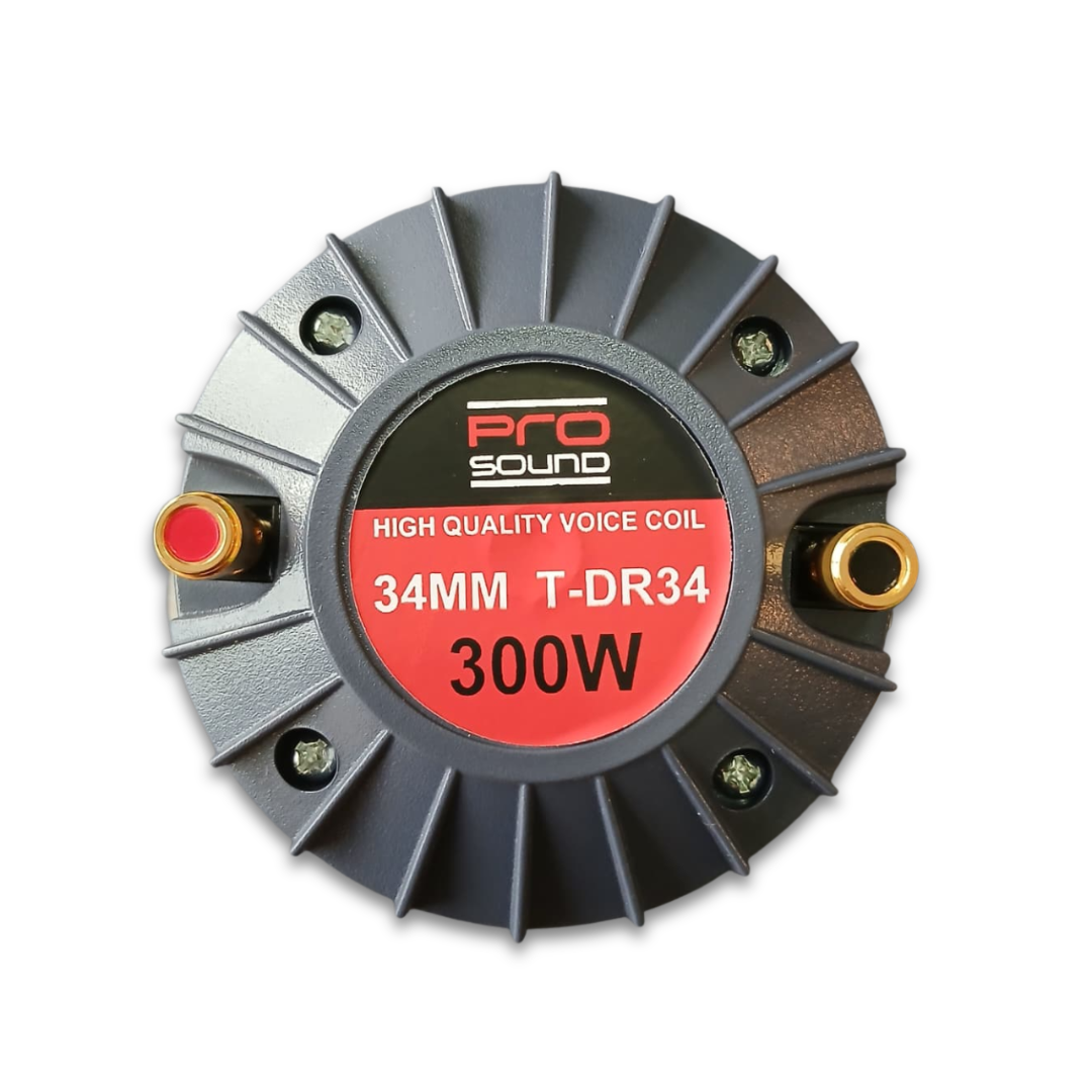 DRIVER 300W-MAX: 8 OHMIOS T-DR43 PRO SOUND