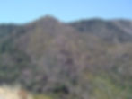 Angeles Crest5