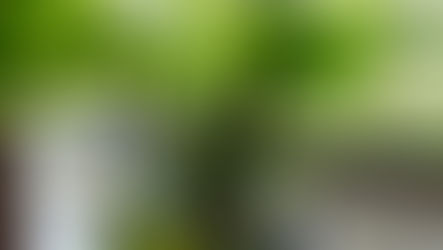 お盆休みのお知らせ