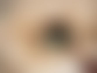 Capturing Cats at Home with Nikon Singapore