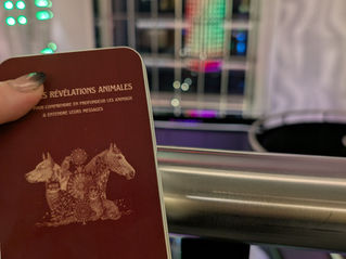 Pré-commandes ouvertes pour l'Oracle des Révélations animales