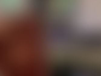 Pré-commandes ouvertes pour l'Oracle des Révélations animales