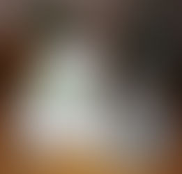 Conseil lecture sur l'harmonisation globale pour nos animaux