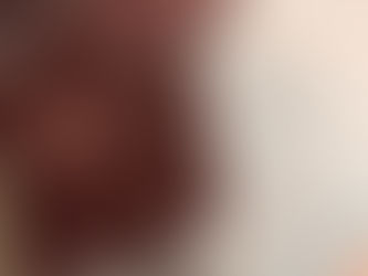 Les coulisses de la création de l'Oracle des Révélations animales