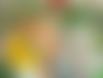 為什麼鸚鵡需要覓食活動?