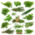 Natural Healing Omaha Herbs Omaha Alternative Healing